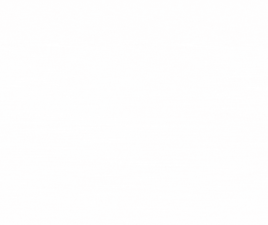 MLK Skating Memorial Day 2025